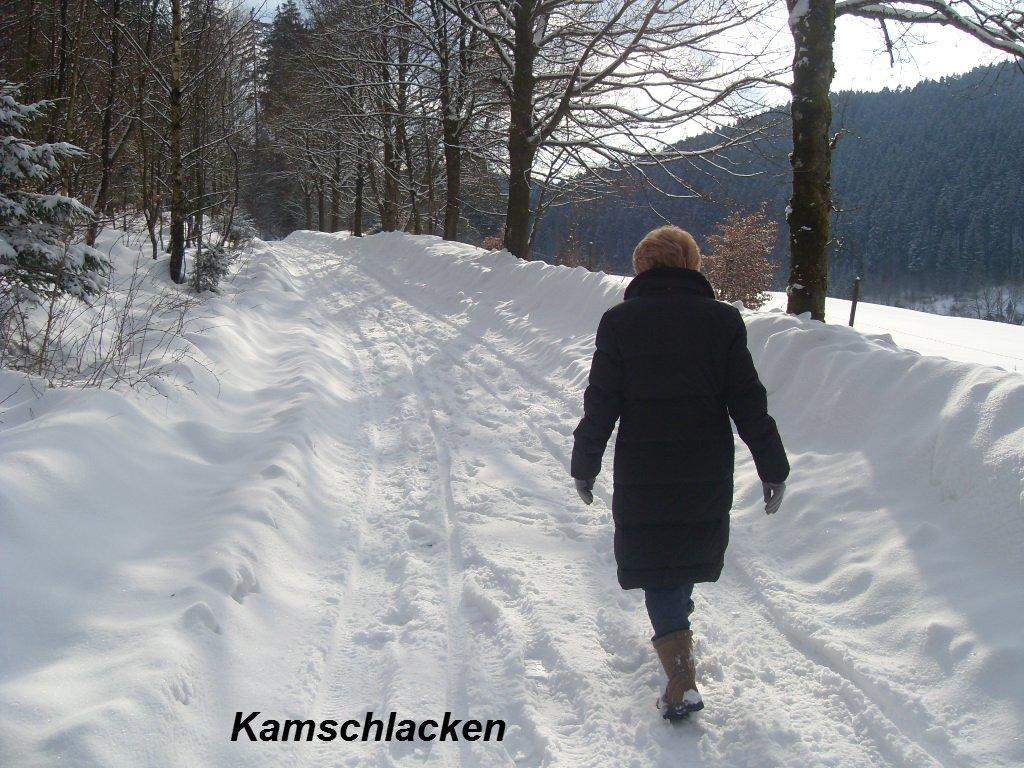 Gaestehaus Buendge Kamschlacken Buitenkant foto