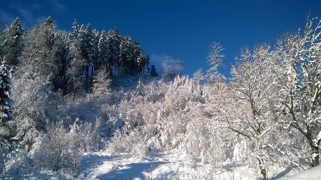 Gaestehaus Buendge Kamschlacken Buitenkant foto