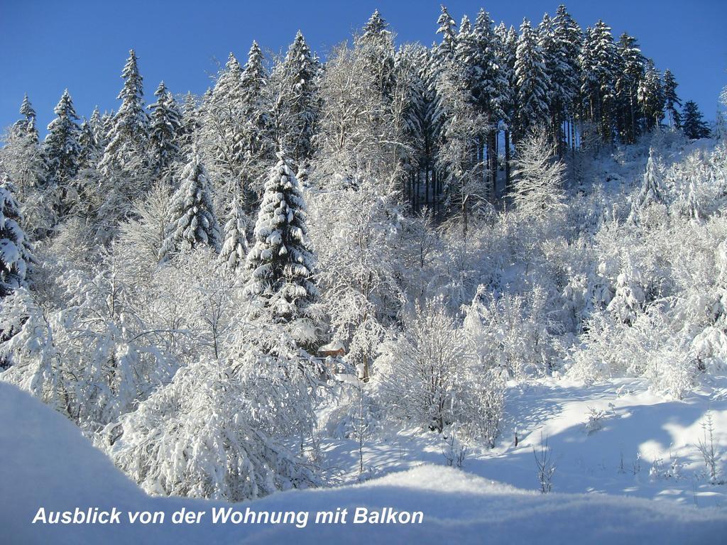 Gaestehaus Buendge Kamschlacken Buitenkant foto